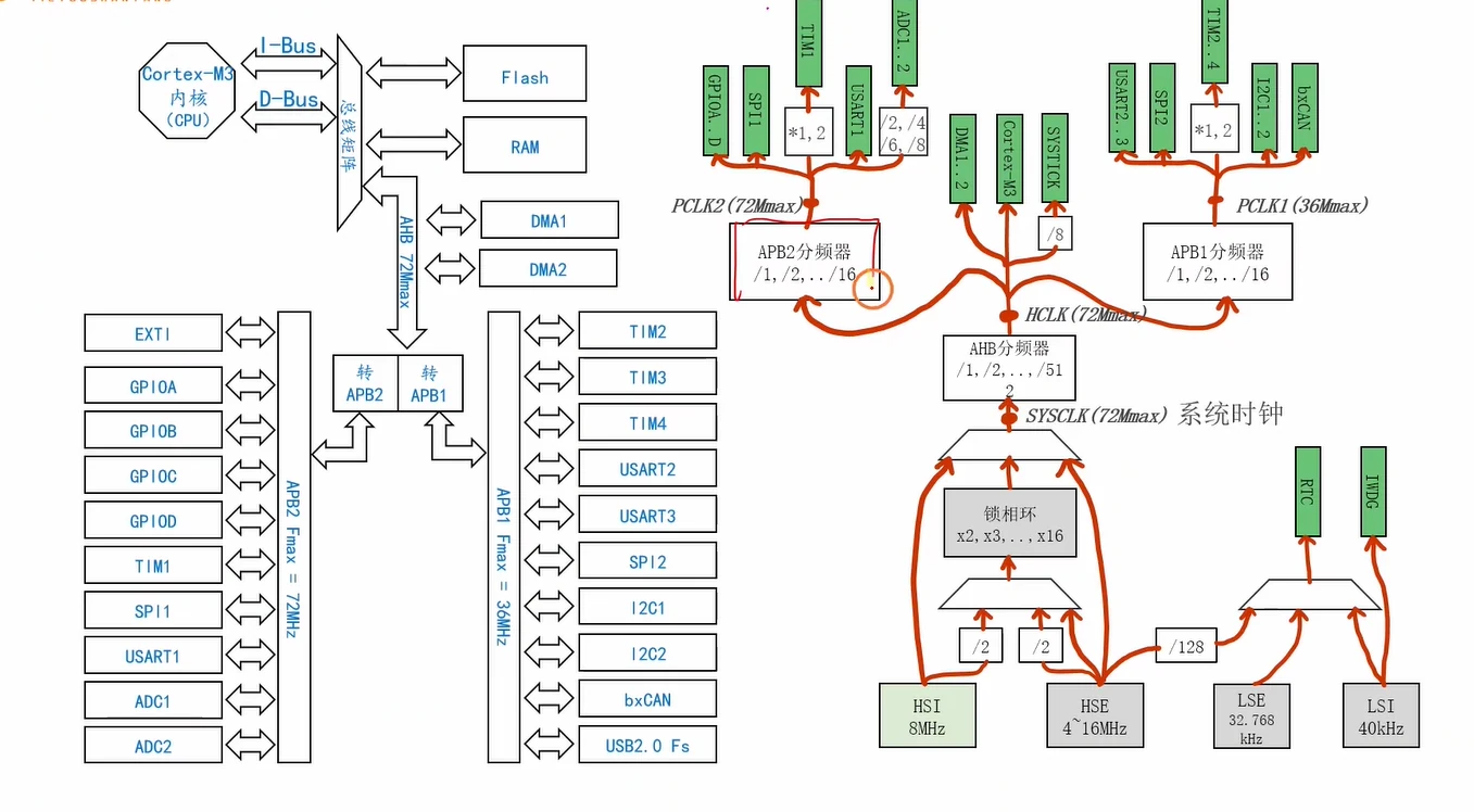 树枝全景：左半是总线结构（Cortex-M3 的 I-Bus/D-Bus、总线矩阵、Flash/RAM/DMA1/DMA2、APB2 Fmax=72MHz 与 APB1 Fmax=36MHz 及各自外设清单），右半是时钟树（HSI/HSE/LSE/LSI → PLL → SYSCLK → AHB/APB1/APB2 分频器 → 外设），SYSTICK 走 /8、ADC 走 /2,/4,/6,/8、定时器标 *1,2