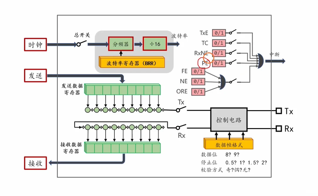 PE 标志位：USART 结构图中红圈圈出 PE（校验错误标志），与 TXE/TC/RxNE/FE/NE/ORE 并列