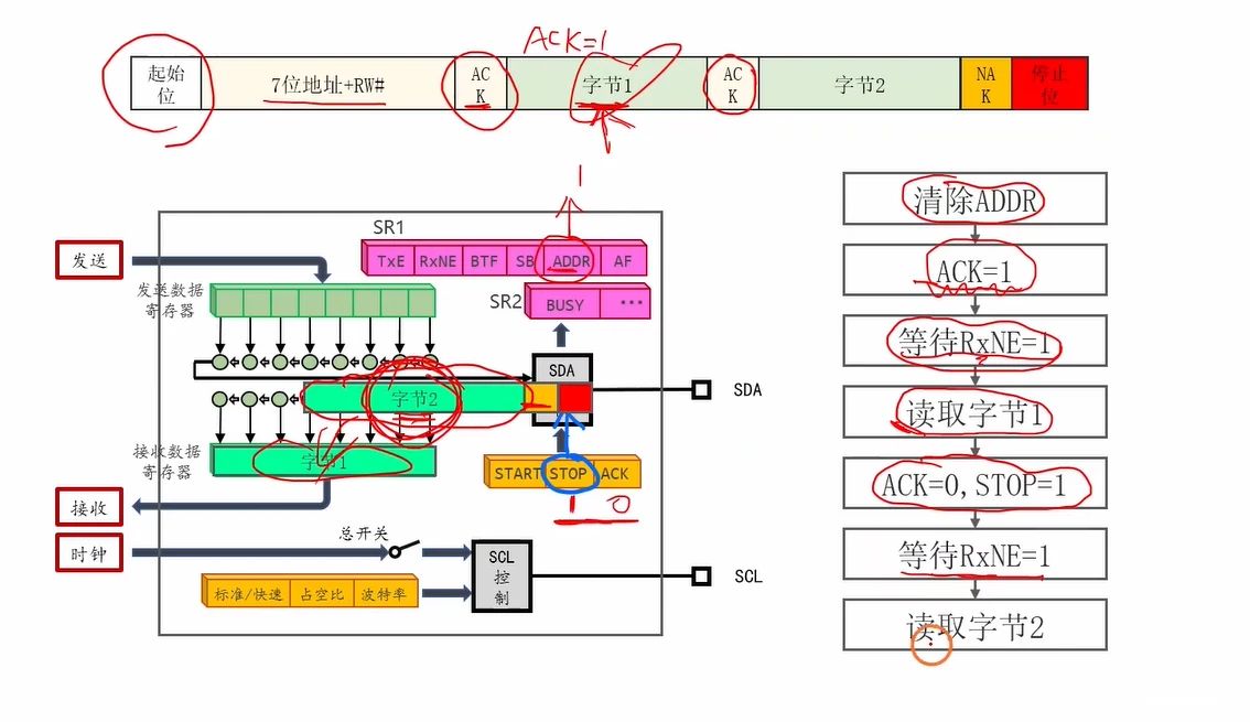 两字节读：第 1 字节仍回 ACK，读完第 1 字节后才把 ACK 关掉并挂上 STOP，保证第 2 字节后面是 NAK