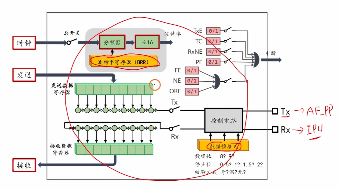 USART 内部结构：BRR 分频决定波特率，标志位各自可使能中断，数据帧格式决定控制电路；Tx 脚配复用推挽、Rx 脚配输入上拉