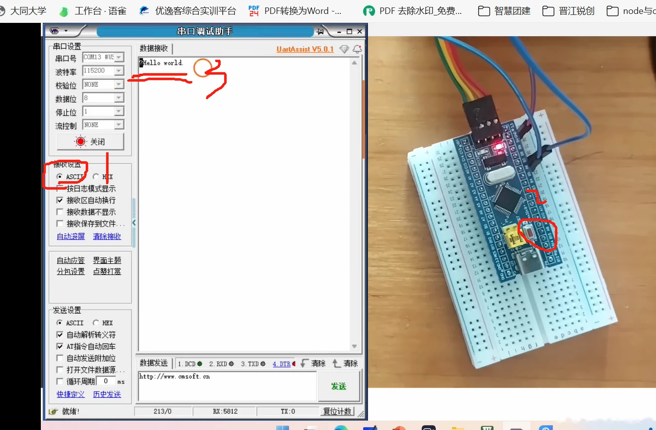 格式化打印实验结果：助手 115200、ASCII 接收显示 "Hello world."，右侧为开发板与 USB 转 TTL 实际接线
