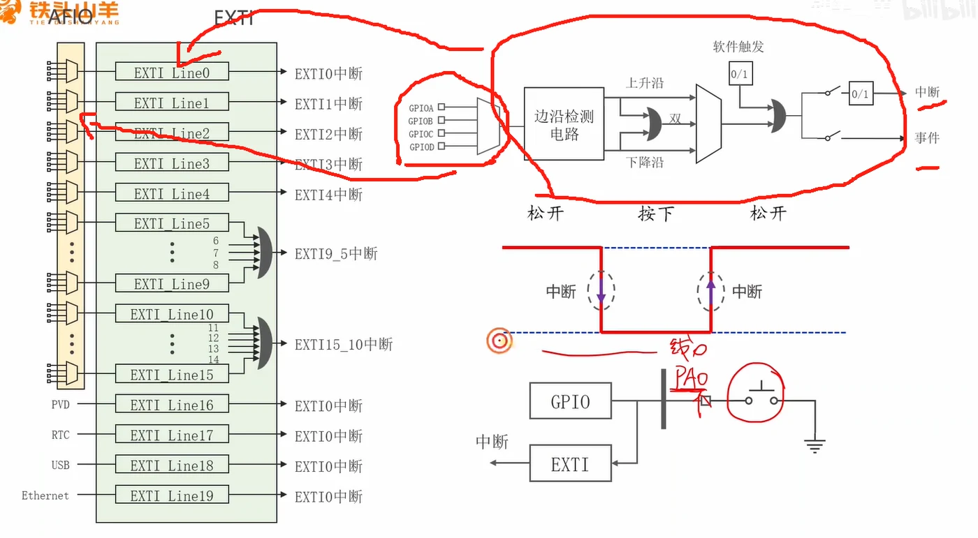 一条 EXTI 线的内部结构：复用器→边沿检测→上/下/双沿→软件触发或门→中断/事件开关