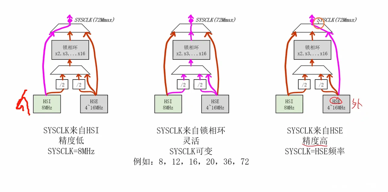 树干的三条路径（粉色高亮）：左=HSI 直连（精度低，8MHz）；中=经 PLL（灵活，SYSCLK 可为 8/12/16/20/36/72）；右=HSE 直连（精度高，SYSCLK=HSE 频率）