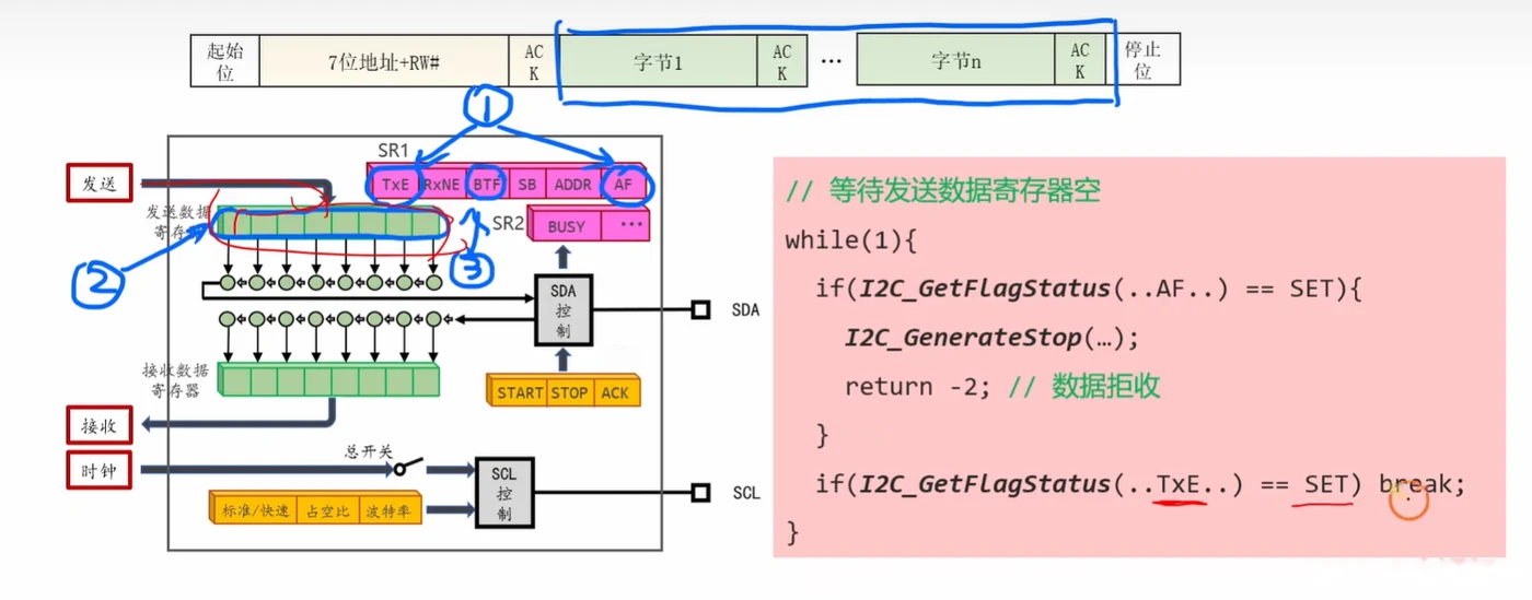 发送每一字节前都要等 TXE（数据寄存器已空）；AF 与 TXE 在同一个 while 里一起判，出错立刻发 STOP 退出
