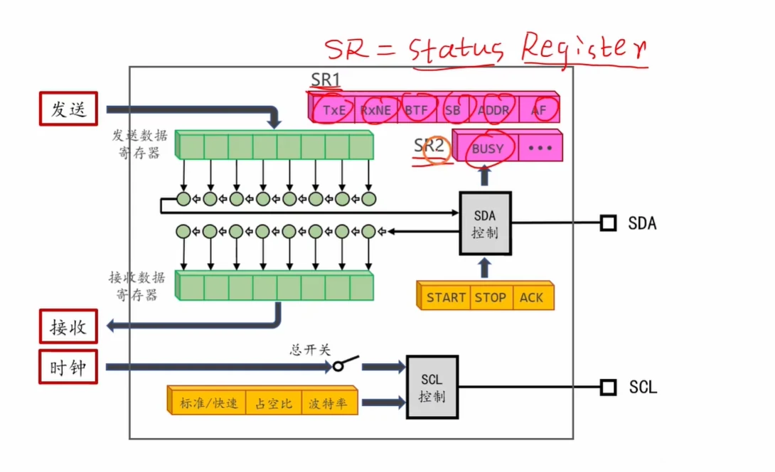I2C 模块内部结构：发送/接收数据寄存器 + 移位寄存器 + SDA 控制 + SR1/SR2 状态位 + START/STOP/ACK 控制位 + SCL 控制的总开关与波特率/占空比配置