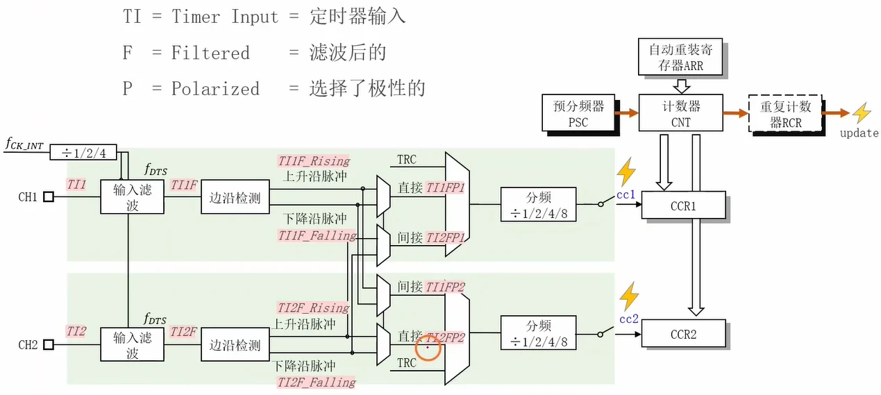 输入捕获通路命名规则：TI=Timer Input、F=Filtered、P=Polarized；CH1 经 ÷1/2/4 得 fDTS → 输入滤波 → 边沿检测 → 上升沿(TI1F_Rising)/下降沿(TI1F_Falling) → "直接 TI1FP1"或"间接 TI2FP1" → 分频 ÷1/2/4/8 → cc1 → CCR1；CH2 对称（直接 TI2FP2、间接 TI1FP2），两路信号可交叉借用