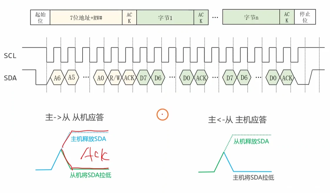 两个方向的 ACK 由谁产生：左=主→从，主机释放 SDA、从机拉低（ACK）；右=主←从，从机释放 SDA、主机拉低（ACK）
