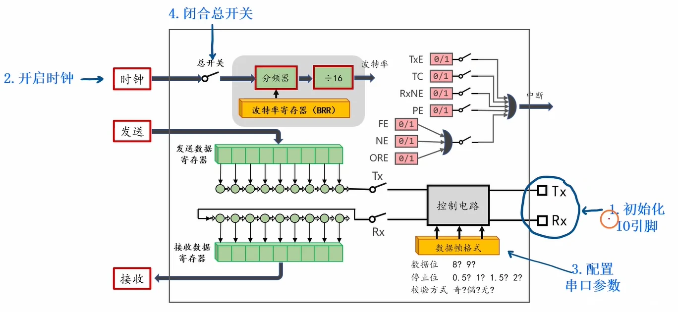 从这张图读出：USART 初始化的固定四步(配IO→开时钟→配参数→开总开关)与内部数据/时钟通路，参数三要素在"控制电路"下方