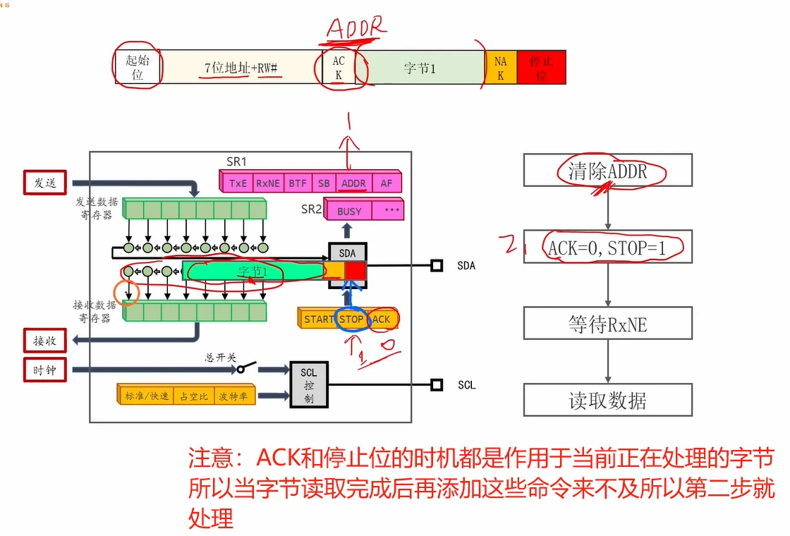 单字节读的固定顺序：清 ADDR 后立刻把 ACK 关掉、STOP 挂上，然后才等 RXNE 取数据
