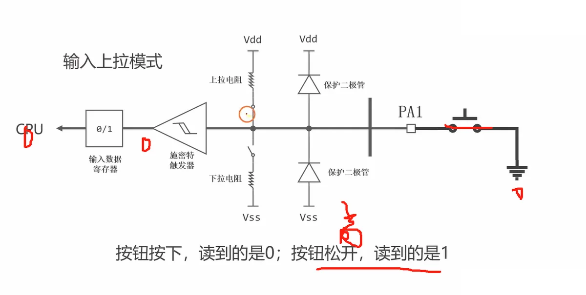 输入上拉通路：上拉开关闭合，PA1→按钮→地；按下读 0、松开读 1